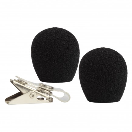 RK 318WS wiatrochron (2x) i klips do WH 20,